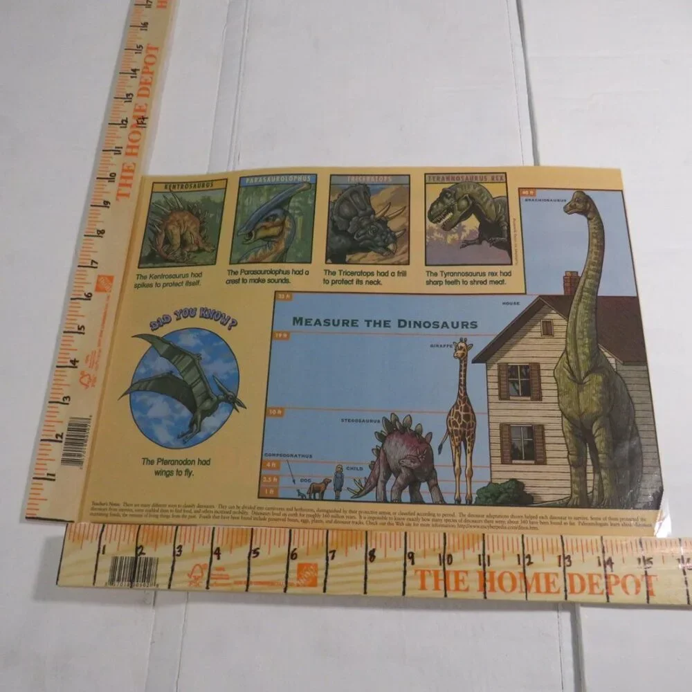 Dinosaur Classroom (8) LAMINATED posters Bulletin Board